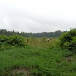 Sleutelweg 25-07-2014 11.59