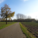 Twekkelerweg 21-11-2014 14.52 