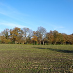 Twekkelerweg 21-11-2014 14.52 