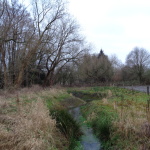 Twekkelerweg richting Hengelo 13-01-2015 12.41 