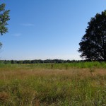 Twentekanaal thv waterloop 12-07-2014 09.51