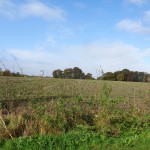 Vegerweg Lonneker 22-10-2014 11.41 