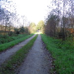 Viekerveldweg 28.10.2014 13.13 