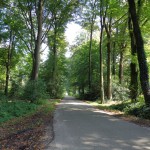 Wallenbeekweg 08-09-2014 12.48 