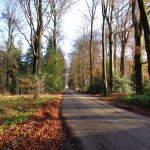 Wallenbeekweg 08-12-2014 12.12 