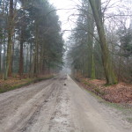 Wiedicksbeekweg 18-02-2015 11.38 