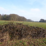 Bonekampweg 09-03-2015 10.51 