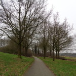 Fietspad achter wesselerbrinkpark 11-02-2015 14.26 