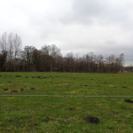 een zandpad zonder naam in het verlengde van de Hegeboerweg 25-02-2015 17.11