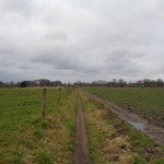 een zandpad zonder naam in het verlengde van de Hegeboerweg 25-02-2015 17.11