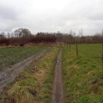 een zandpad zonder naam in het verlengde van de Hegeboerweg 25-02-2015 17.11