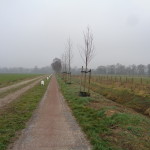 Lammerinkweg Usselo 20-03-2015 11.46 