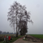 Lammerinkweg Usselo 20-03-2015 11.46 