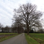 Roodmolenweg 07-03-2015 13.53 