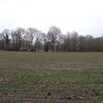 Twekkelerweg 21-02-2015 11.05