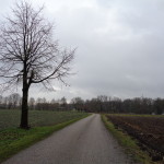 Twekkelerweg 21-02-2015 11.05