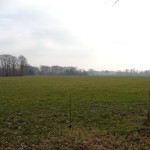 Vliegveldweg 19-02-2015 14.31 