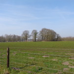 Boerstege 24-03-2015 10.38 