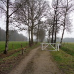 Grote Esweg 25-03-2015 11.16