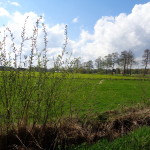 Borgweg 29-04-2015 15.52 