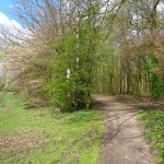 parkje Buurserstraat 18-04-2015 13.20 