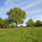 Fietspad achter wesselerbrinkpark 11-05-2015 12.05