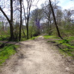 Golfveldweg Hengelo 19-04-2015 13.33 