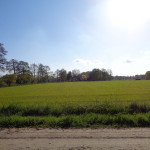 Helweg 02-05-2015 09.01 