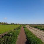 Helweg 02-05-2015 09.01 