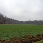 Korteweg 31-12-2014 14-15