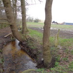 Nieuwendijk net buiten Lonneker oude spoorlijn 03-04-2015 10.36