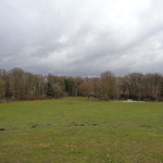 Op de bult in het Wesselerbrinkpark 04-03-2015 11.33